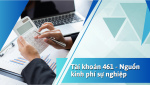 Tài khoản 461